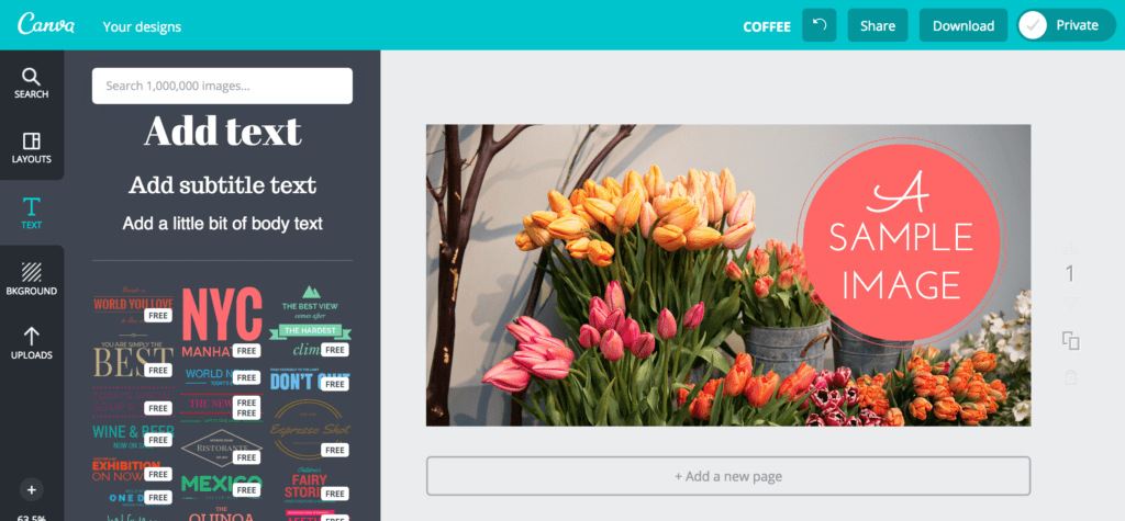 A template in Canva's free graphic design software
