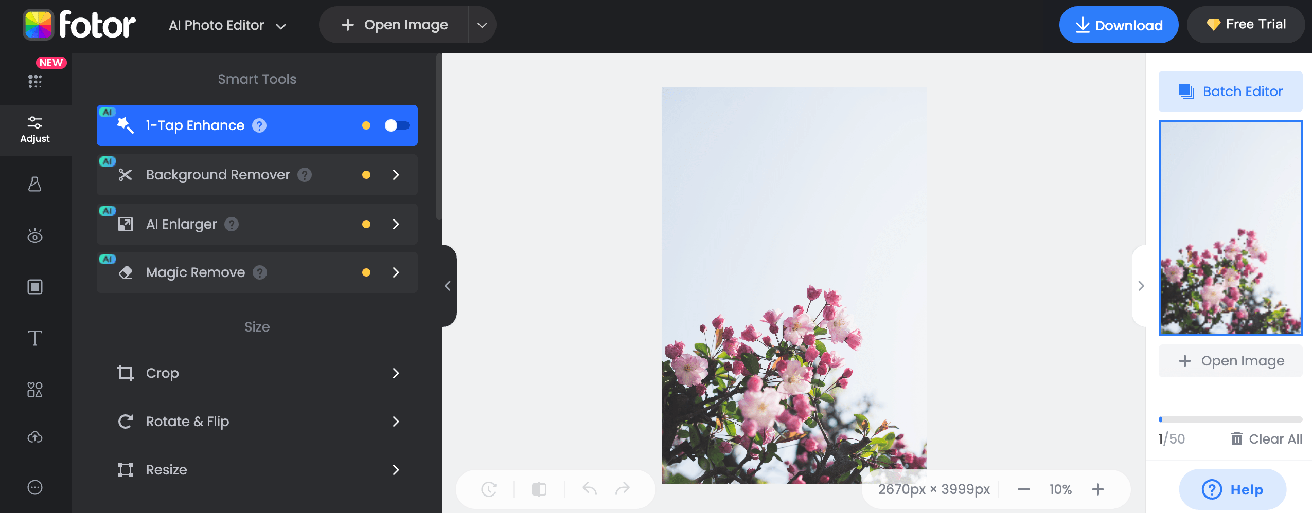 Fotor's interface, a free graphic design tool for photo editing 