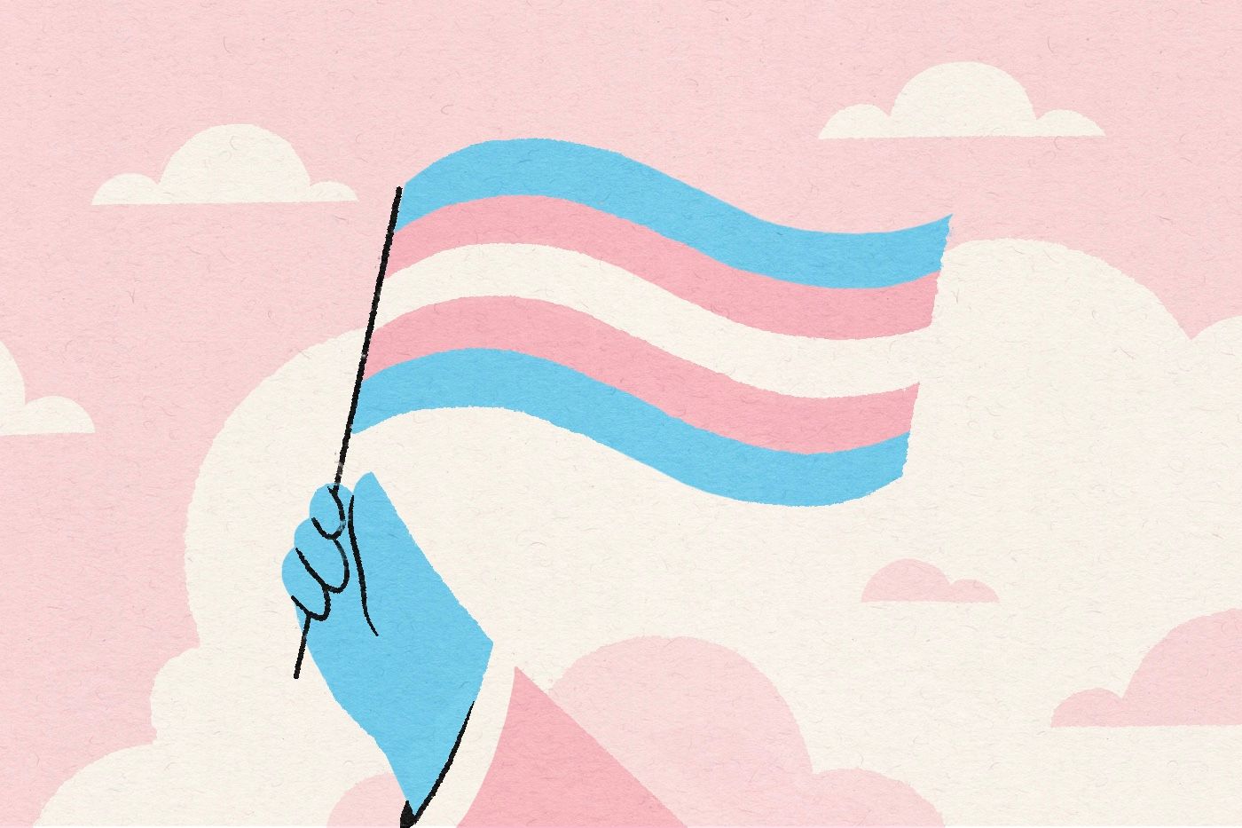 Flag in Support of the Trans Community 