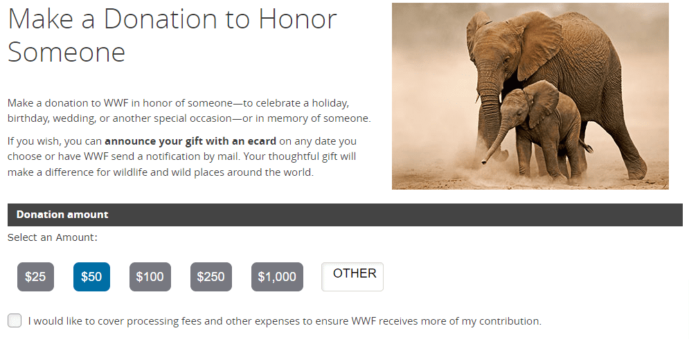 Screenshot of WWF donation form