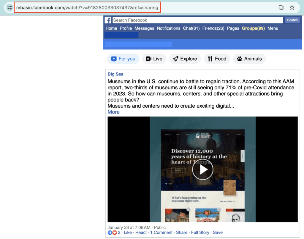 Screenshot from Facebook showing how to update the URL to save a video